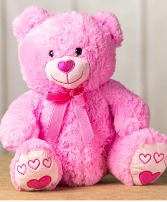 Pink Valentine's Day Bear Soft and Cuddly 