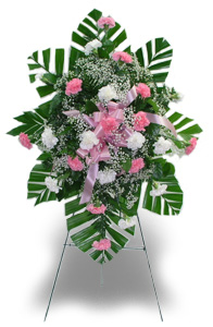 Pink & White Carnations Standing Spray 4G