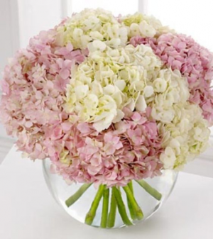 Pink & White Hydrangeas  Vase Arrangement 