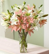 PINK &WHITE LILY BOUQUET 14 STEMEMS