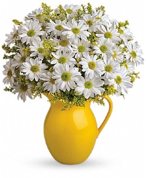 Pitcher Full of Daisies 