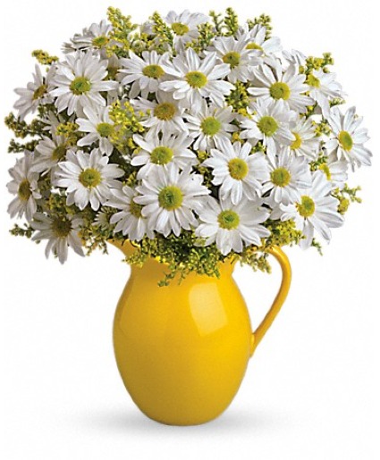 Pitcher Full of Daisies