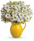 Pitcher Full of Daisies 
