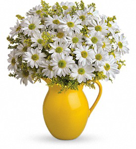 Pitcher of Daisies 