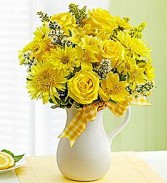 Pitcher of Sunshine Vibrant Yellow Blooms Bring Smiles!
