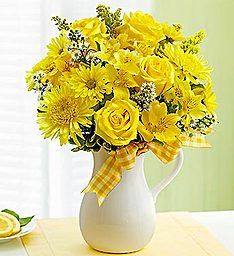 Pitcher of Sunshine Vibrant Yellow Blooms Bring Smiles!