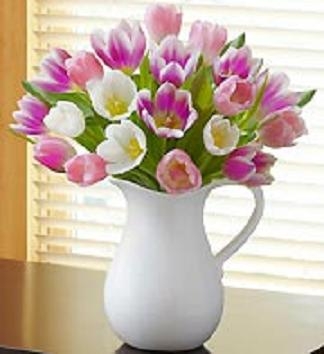 Pitcher of Tulips 