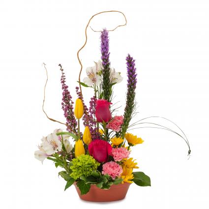 Pixie Garden Arrangement