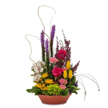 Pixie Party Arrangement