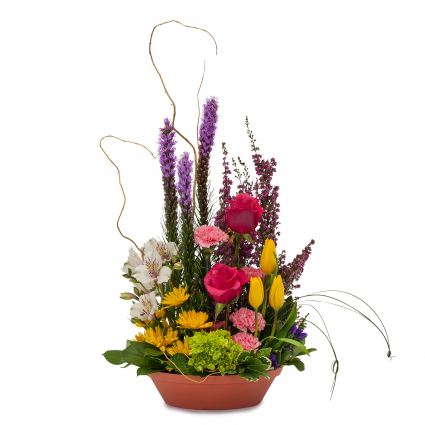 Pixie Party Arrangement