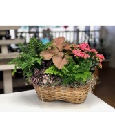 Garden Basket with  flowering plants 