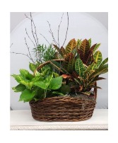 Brown Garden Basket  