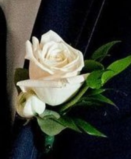 Plain White Rose 