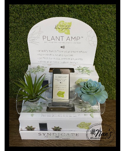 Plant Amp 
