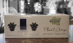 Plant Amp Music Amplifier in Portland, OR | Kern Park Flower Shoppe Plant Amp Music Amplifier in Portland, OR | Kern Park Flower Shoppe