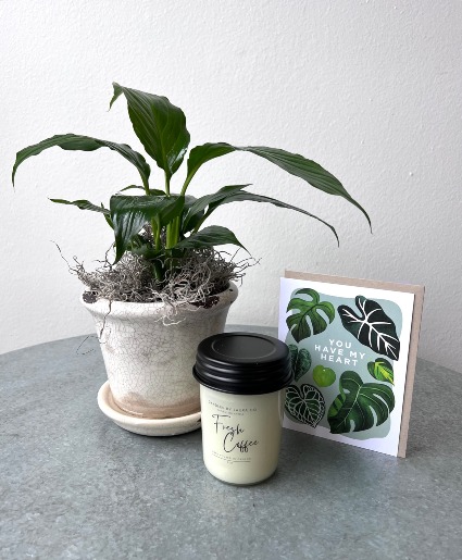 Plant and Coffee Lovers Gift Set