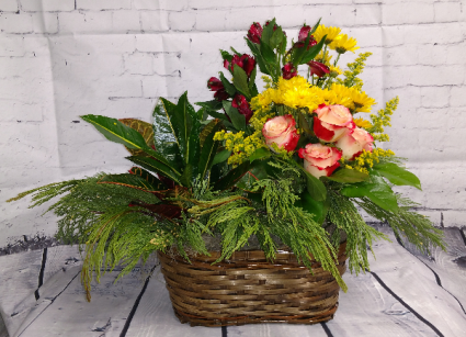 Plant and Floral Basket Arrangement