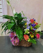 Plant and Flower Basket Plants and Fresh Flowers