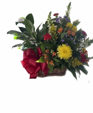 Plant and flowers  