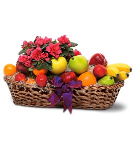 Plant and Fruit Basket  Fruit and Gourmet