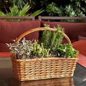 Plant Basket  