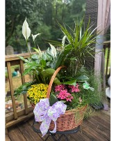 PLANT BASKET PERFECTION Multi Plant Basket