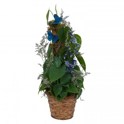 Plant Basket with Butterflies 
