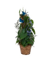 Plant Basket with Butterflies Arrangement