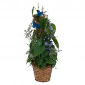 Plant Basket with Butterflies Plant