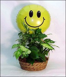 Plant Basket w/Smiley Face Mylar  $80.95
