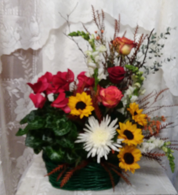 plant basket with sunflowers