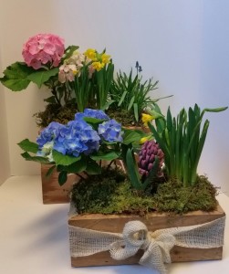 Spring Planter Box seasonal in Northport, NY | Hengstenberg's Florist