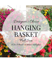 Plant - Designer's Choice Hanging Basket Full Sun Plant