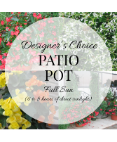 Plant - Designer's Choice Patio Pot Full Sun Plant