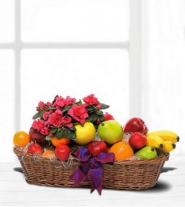 Plant & Fruit Basket 