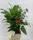 Purchase this funeral home arrangement