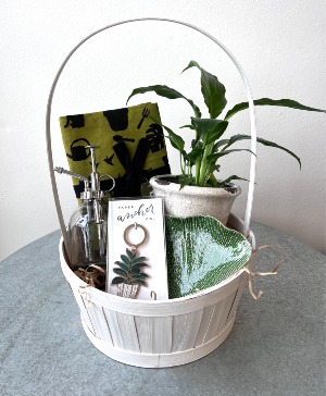 Plant Gift Basket 