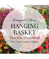Plant - Hanging Basket Part Sun/Part Shade Plant
