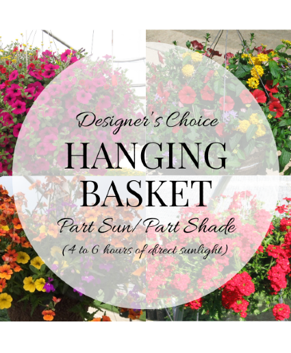 Plant - Hanging Basket Part Sun/Part Shade Plant