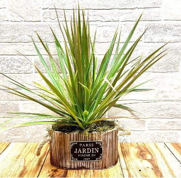P*  Plant Jardin  in Fort Worth, TX | DAVIS FLORAL DESIGNS