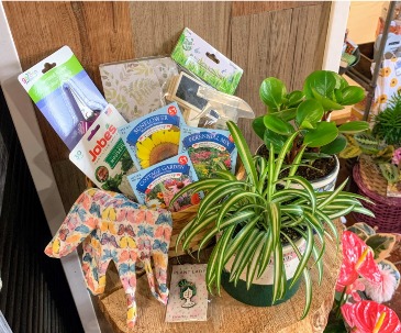 Plant Lady Gift Basket  in Fairview, OR | QUAD'S GARDEN - Home to Trinette's Floral