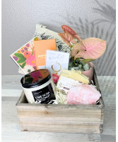 Plant Lady  Gift Box 