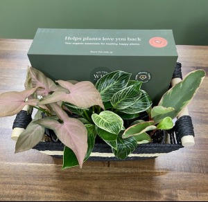 Plant Lover Gift Basket