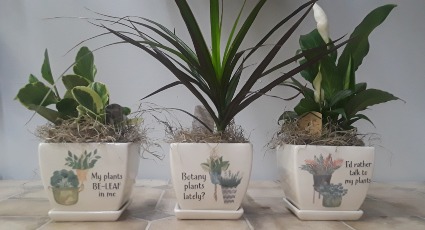 PLANT LOVER PLANTERS PLANTS