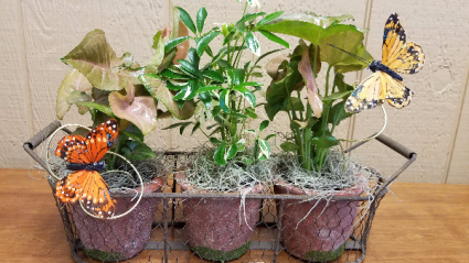 Plant Lover's Garden