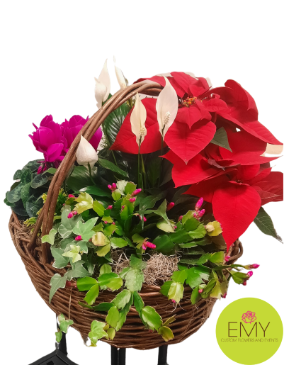 Plant Lovers Holiday- Holiday Garden Dish