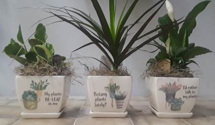 PLANT LOVERS PLANTERS PLANTS