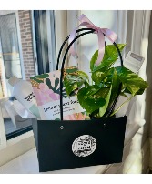 Plant Lovers Gift Bag 