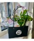 Plant Lovers Gift Bag 