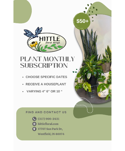 Plant Monthly Subscription Subscription